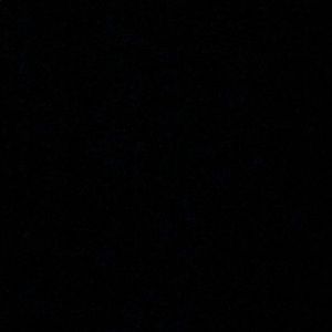 Meet your Posher, Shania